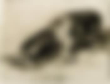 Fiero monstruo (preview)