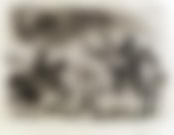 Plate 105, from series 347 (preview)