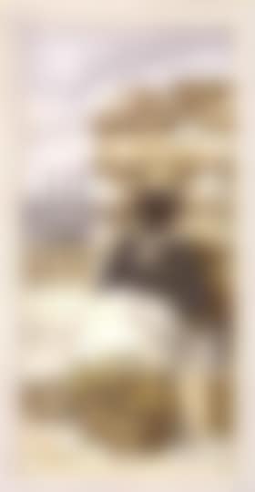 Portrait of a woman cotton picker (preview)