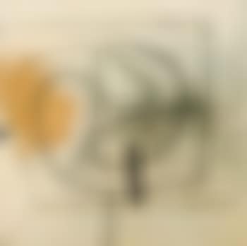 Linear image 7 (preview)