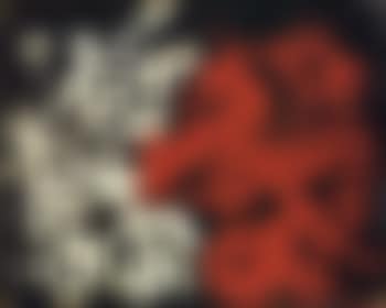 Composition (preview)
