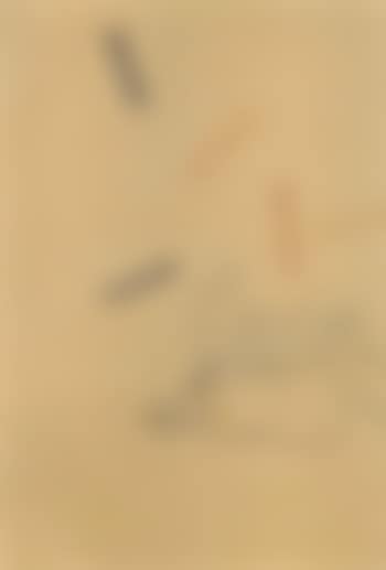 Igel (preview)