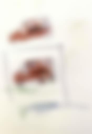 Untitled (preview)