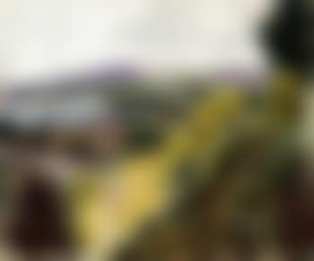 Landscape, cassis (preview)