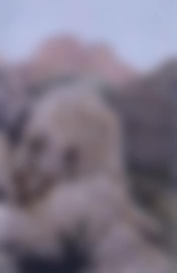 Renegade Apaches (preview)