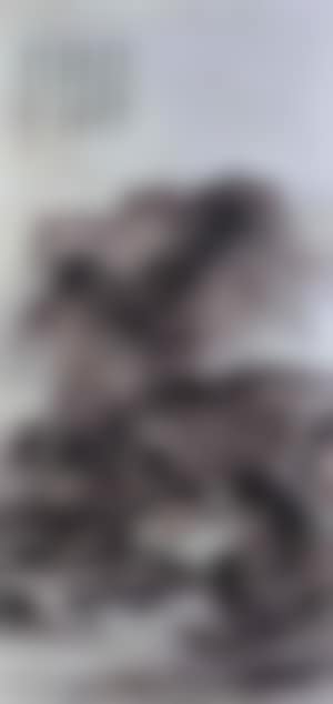 Excursion (preview)