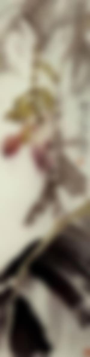 Banana tree (preview)