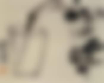 Still life (preview)