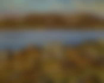 Musk Ox Lake, NWT (preview)