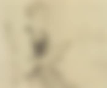 Young lady near spinning wheel (preview)