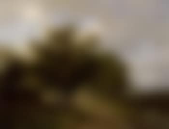 Bergers conversant dans un paysage arbore (preview)