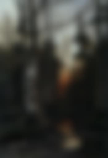 Birch forest at sunset (preview)