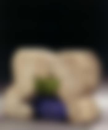 Elephant (preview)