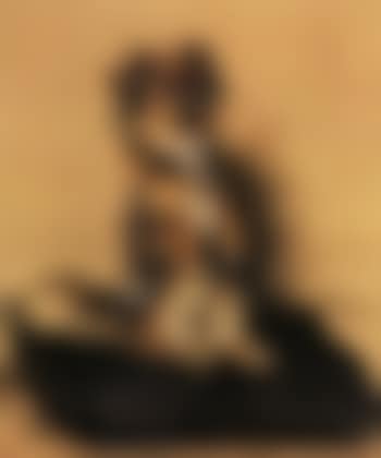 Pekingese seated on cushion (preview)