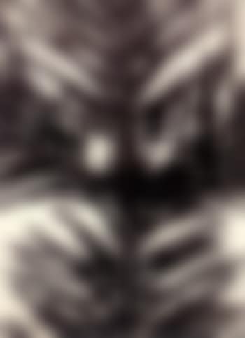 Botanical study (preview)