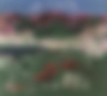 Summer landscape with cattle (preview)