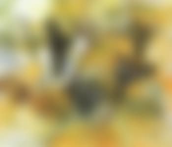 Esa natura, naturaleza (preview)