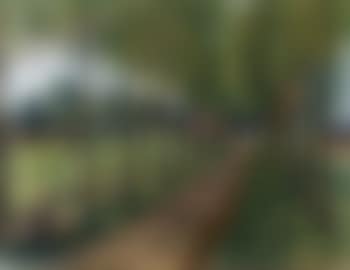 Allee du parc animee (preview)
