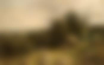 Carting hay near Brockham, Surrey (preview)