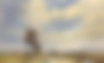 Cow Holm Marsh, Norfolk (preview)