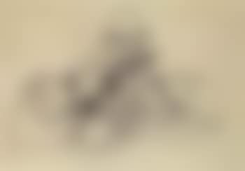 Still life with guitar, basket and mask (preview)