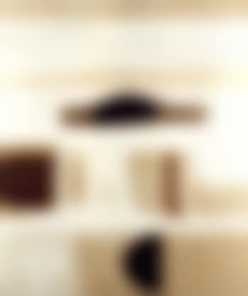Figure divided (preview)