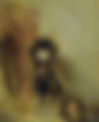De kleine koopman (preview)