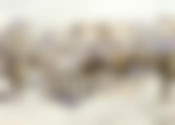 Cattle on market hill (preview)