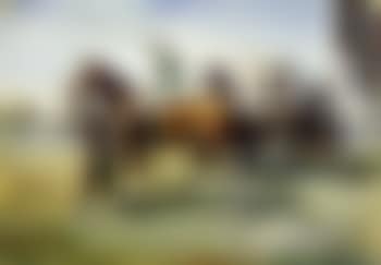 Start (preview)