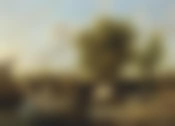 Landscape and cattle, Bingley Gate, near Canterbury (preview)