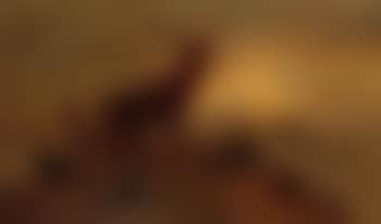 Dusk over the highlands (preview)