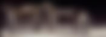 Deux leopards, male en tete (preview)
