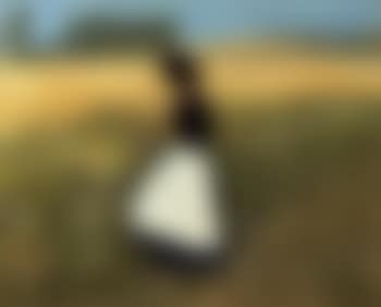 In the cornfield (preview)