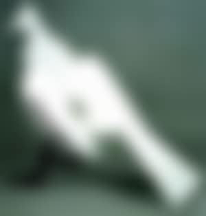 Petit oiseau de marbre (preview)