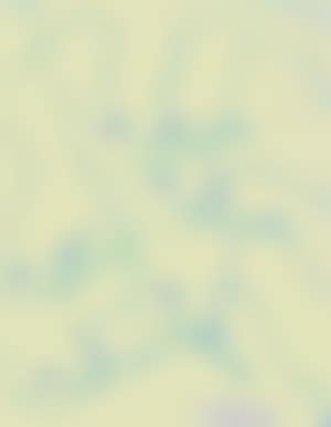 Mouettes (preview)
