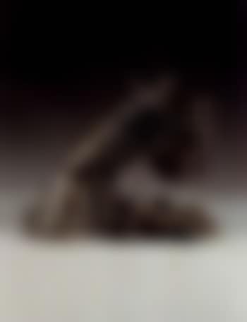 Cerdo (preview)