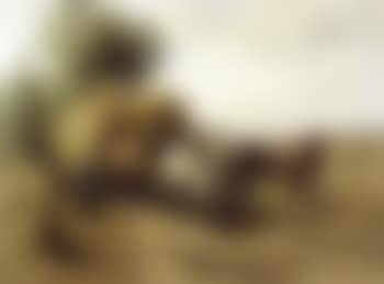 Haymaking (preview)