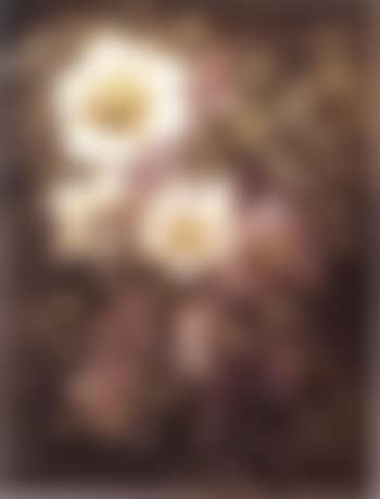 Still life of flowers (preview)