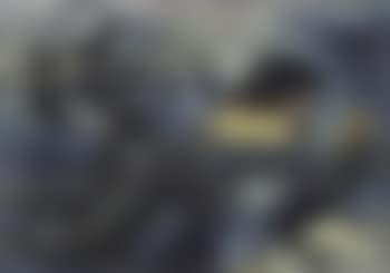 Nageuse VI (preview)
