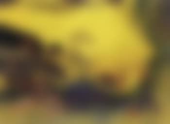 Evening (preview)