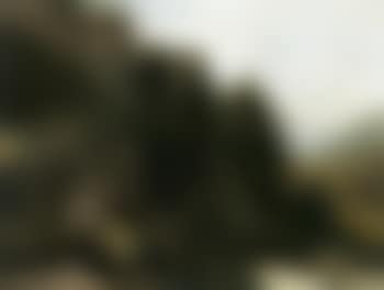 Landscape study (preview)
