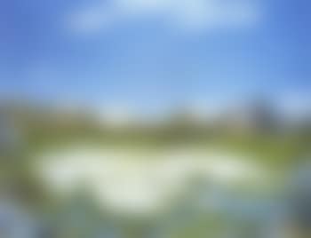Spring in the high mountains (preview)