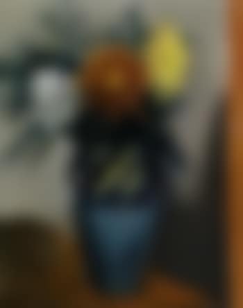 Flowers in vase (preview)