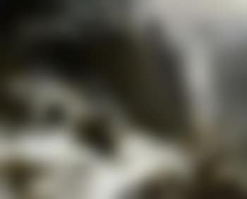 Mountain goats in high mountains (preview)
