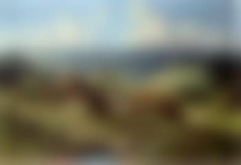 Sunny spring landscape with two thatched farmsteads near Bernau (preview)
