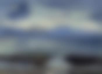View of Skagen Strand with seagulls on the horizon, early evening (preview)