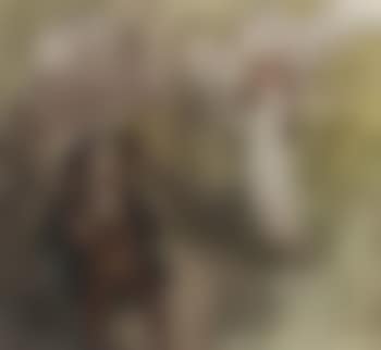 The hunter and the girl (preview)