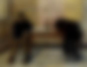 Pochards (preview)