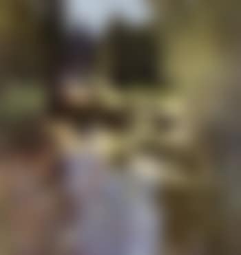 Nenuphars (preview)