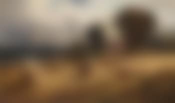 Stormy harvest. Near Aldermaston (preview)